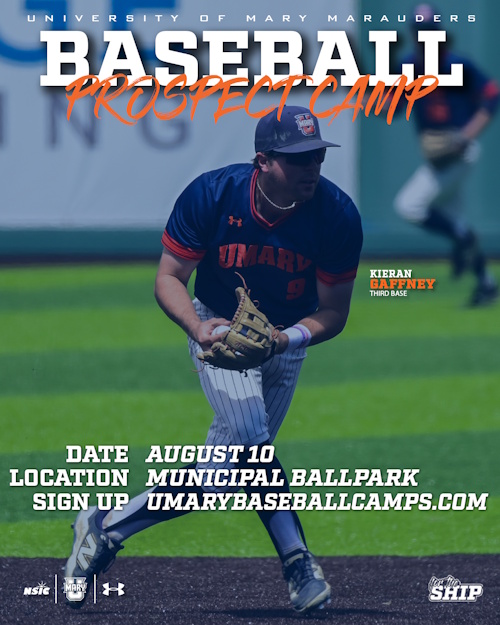 2025 Baseball Flyer